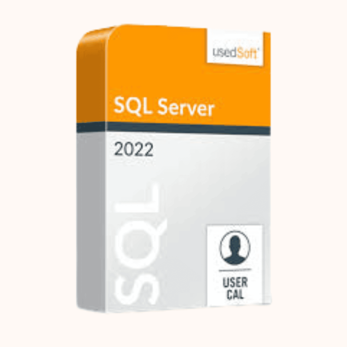 Microsoft SQL Server 2022 – 1 User CAL Academic CSP License
