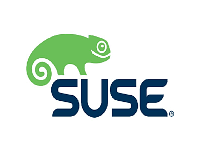 Suse Linux Enterprise Server for SAP ( 2soc/2 VMs) w/LP Priority (1yr) ESD (874-006905)