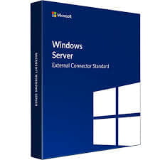 MS Windows Server 2022 External Connector CSP ESD Perpetual (DG7GMGF0D515)